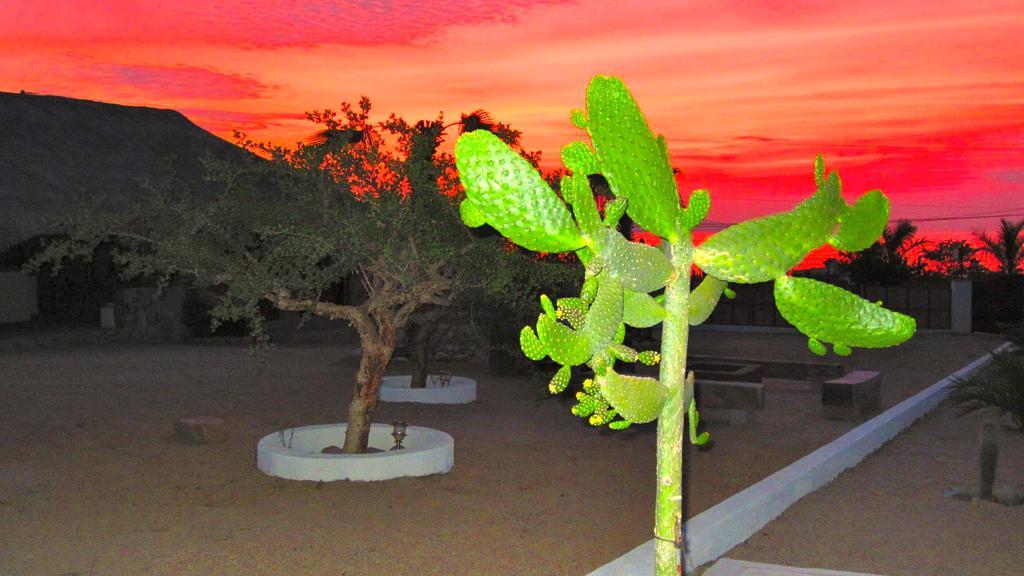 Palapas La Choya Villa La Ventana Eksteriør bilde